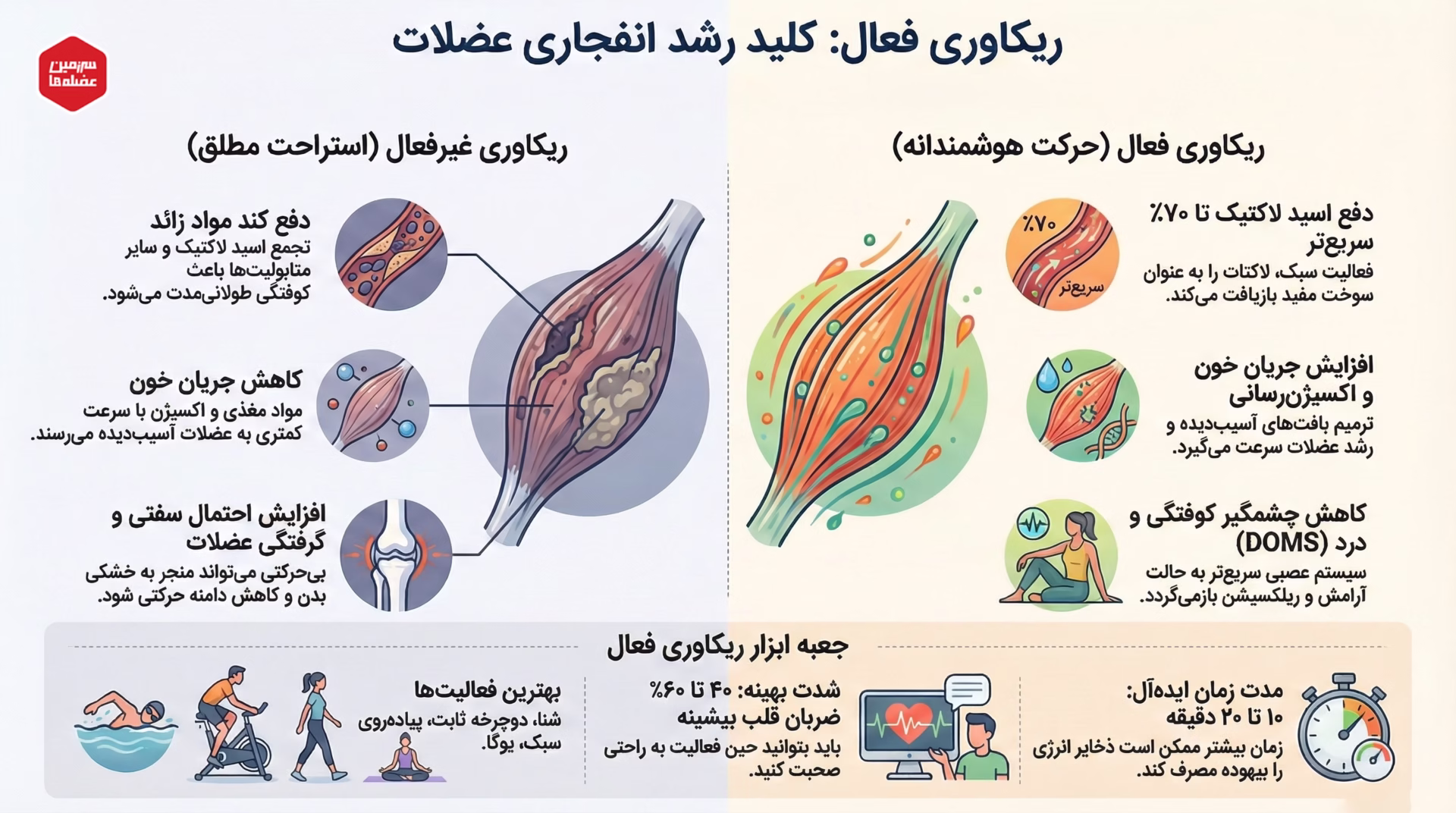 اینفوگرافیک مقایسه ریکاوری فعال و غیرفعال؛ تاثیر حرکت هوشمندانه بر دفع ۷۰ درصدی اسید لاکتیک، افزایش خونرسانی و کاهش کوفتگی (DOMS) در مقابل عوارض استراحت مطلق. شامل جعبه ابزار ریکاوری (شنا، دوچرخه، پیادهروی) و زمان بهینه ۱۰ تا ۲۰ دقیقه.