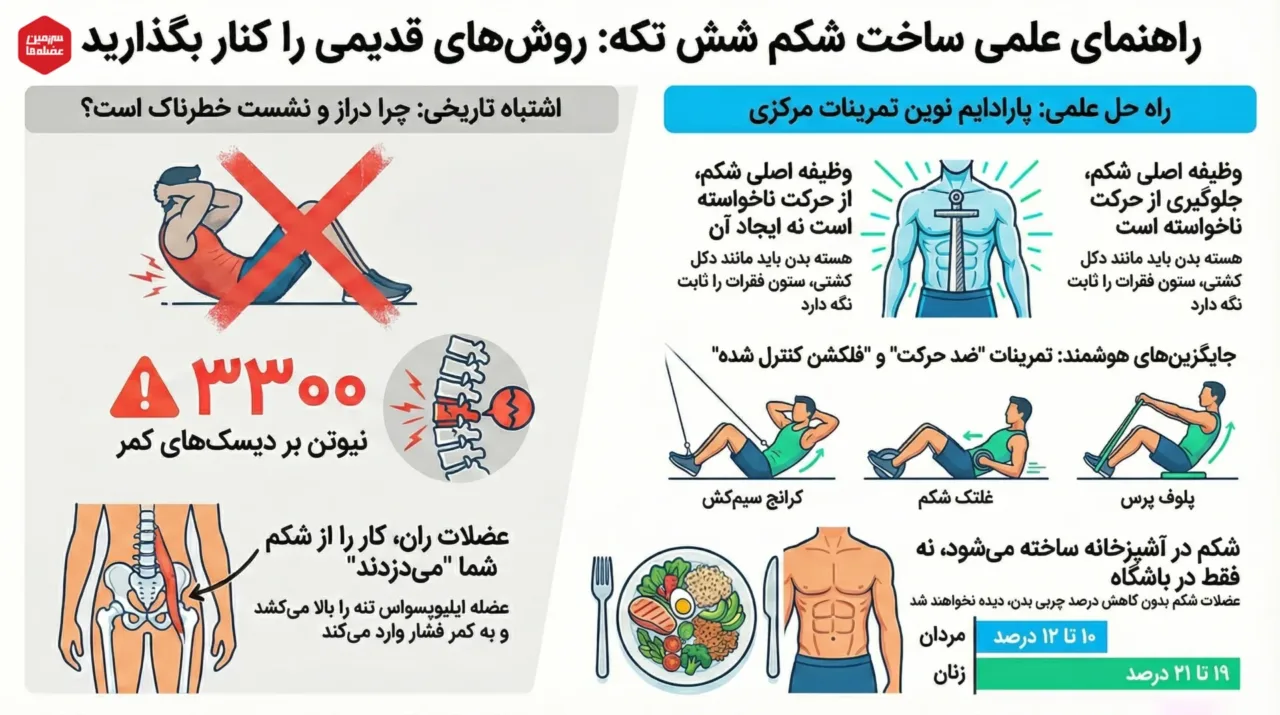 اینفوگرافیک راهنمای علمی ساخت شکم شش تکه: مقایسه خطرات دراز و نشست (فشار ۳۳۰۰ نیوتن بر دیسک) با تمرینات نوین عضلات مرکزی (کرانچ سیمکش، غلتک شکم، پلوف پرس) و اهمیت تغذیه در کاهش درصد چربی بدن.