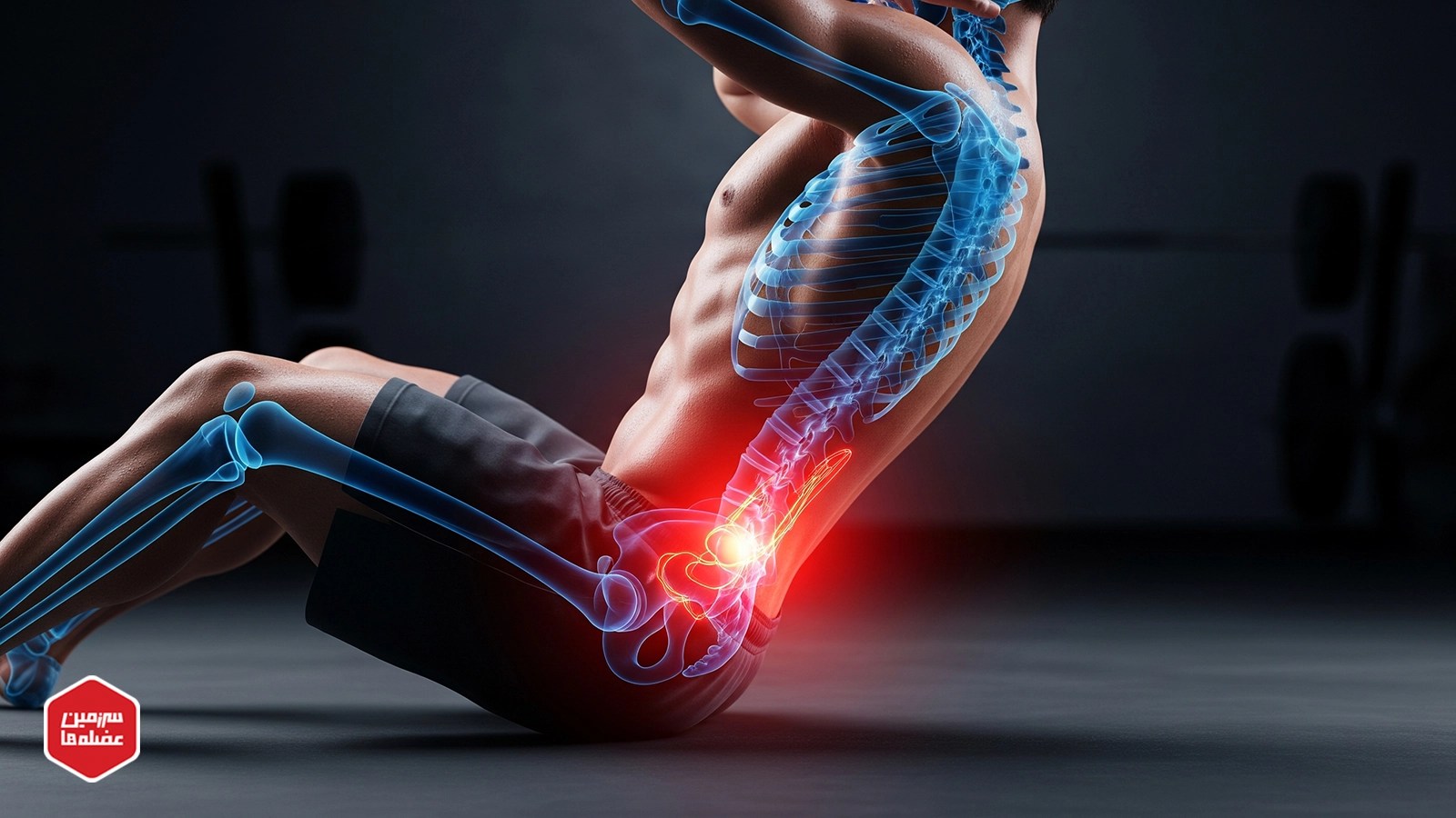 sit-up-spine-injury-psoas-دست یک زن ورزشکار در حال گرفتن هالتر سنگین در کنار دمبل صورتی رها شده؛ نماد شروع تمرینات قدرتی حرفهای و دوری از کلیشههای تناسب اندام زنانmuscle-danger ساخت شکم شش تکه: خداحافظی با دراز و نشست + راهنمای علمی و عملی