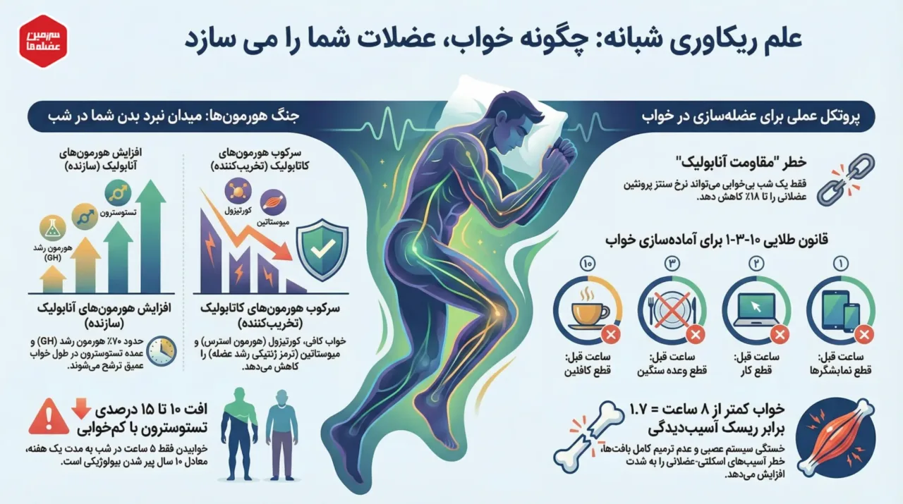 اینفوگرافیک علم ریکاوری شبانه و تأثیر خواب بر عضله سازی؛ مقایسه هورمونهای آنابولیک (تستوسترون) و کاتابولیک (کورتیزول)، قانون ۱۰-۳-۲-۱ و آمار ریسک آسیب دیدگی